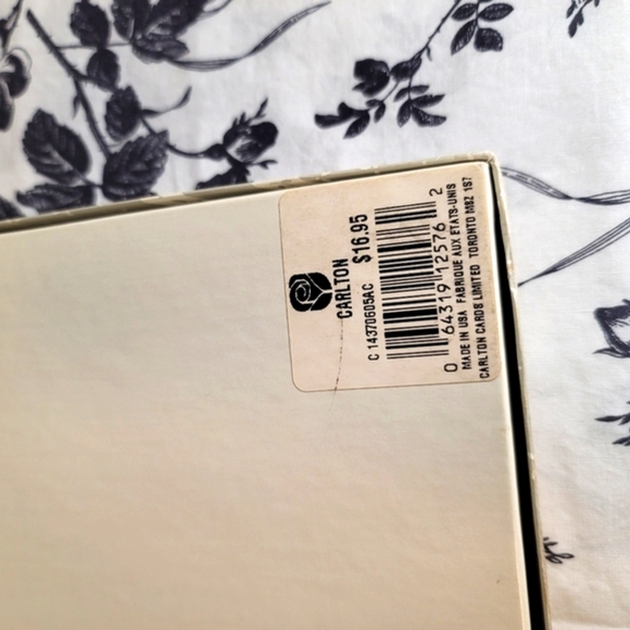 Really cute grey cat address - Picture 3 of 4